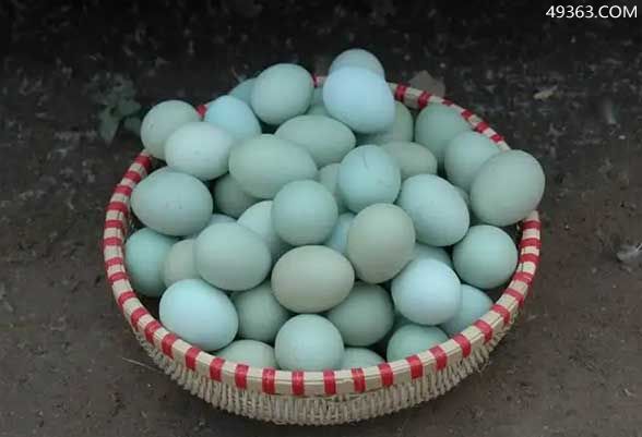 绿壳鸡蛋的功效与作用，绿皮鸡蛋的营养价值如何