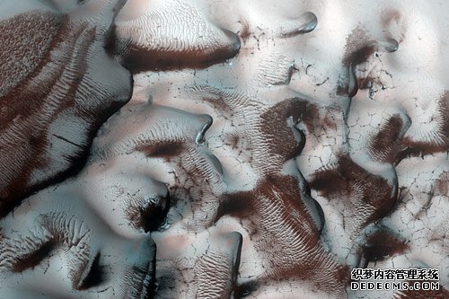 美宇航局发现火星表面有绚丽霜花地形(图)