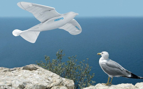 德科学家发明机器鸟 模仿飞行精准不逊真鸟