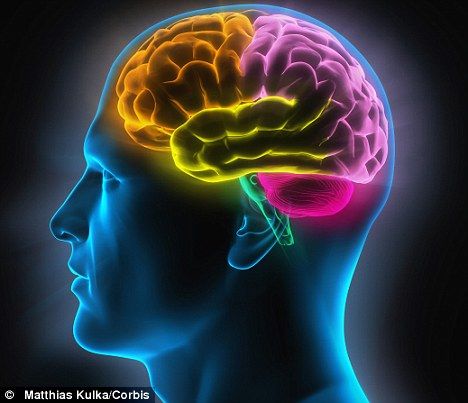 高度复杂：科学家们认为，人类的大脑已经达到了进化的极限，无法进一步进化了