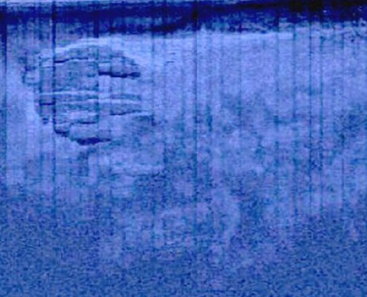 科学家称：瑞典海底神秘残骸不太可能是UFO