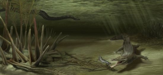 艺术概念图，展现了生活在6000万年前的巨型鳄鱼A. guajiraensis、世界上体型最大的蛇以及它们的生存环境