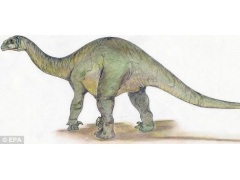 (图)荷兰科学家首次在阿拉伯半岛发现恐龙足