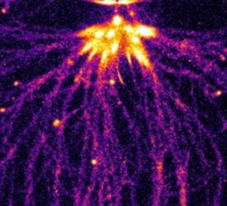 以色列科学家在模拟实验中得出结论，木星存在闪电精灵