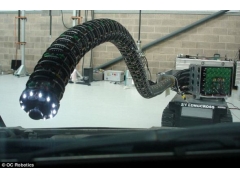 (图)英国研制机器蛇可任意弯曲检