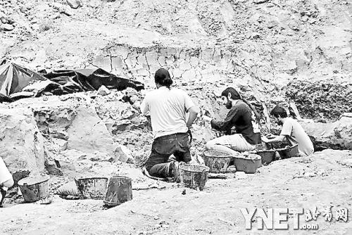 ■西班牙考古队在发掘现场