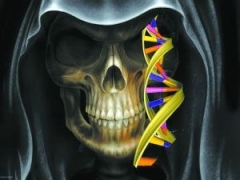 基因发出＂死神预言＂:何时死去可以预知/图
