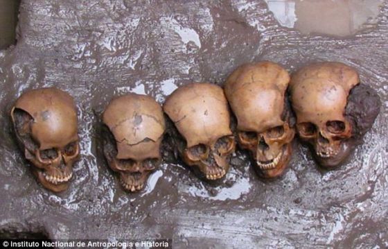 在2011年10月，科学家在墨西哥城下发现50个斩首头骨和250块颌骨。摩尔哈特在特奥蒂瓦坎古城附近获得的发现和这些较早发现类似。这张照片展示了较早发现的神秘头骨