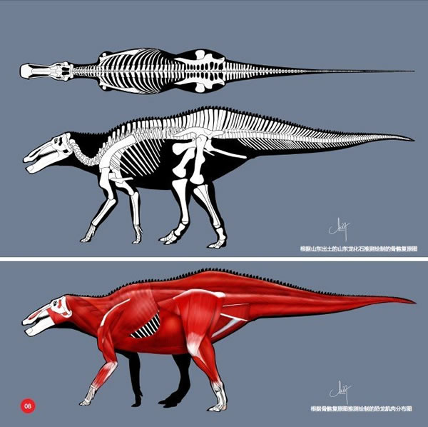 这些恐龙复原图太漂亮了