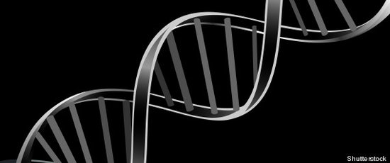 研究人员称原始RNA进化或许带来生命起源