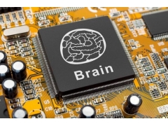 科学家研制实时模拟大脑信息处理新型微芯片