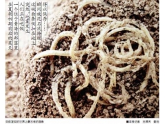 青海发现4000年面条 一碗面因地震而保存至