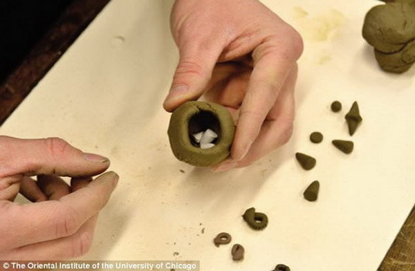 研究人员演示黏土球模型，其内部存放着一些特殊外型的“代币”