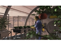 外媒报道中国打算在火星上种植蔬菜_