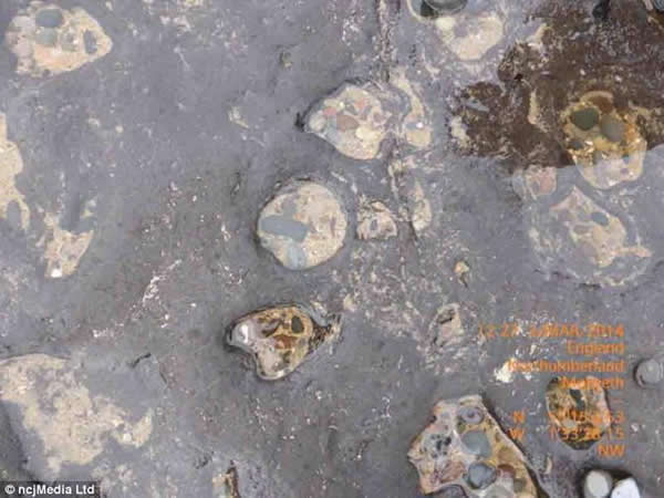 考古学家在英国诺森伯兰郡海滩发现7000年前的人类和动物足迹
