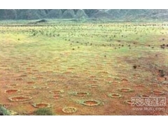 动物界十大未解之谜：沙漠精灵圈 红色海水