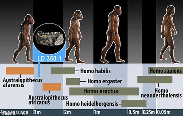 “人类”出现的时间又提早几十万年 埃塞俄比亚发现的LD 350-1化石距今280万年