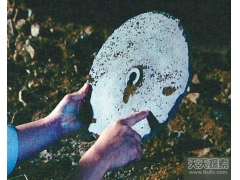 石碟揭秘：外星飞船万年前坠毁中国