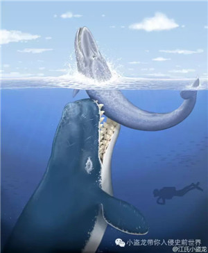 海中巨魔利维坦鲸 盘点史前十大巨型怪物