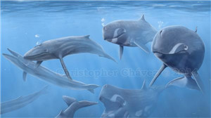 海中巨魔利维坦鲸 盘点史前十大巨型怪物