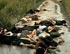 越战中最惨痛的大屠杀：揭秘美莱村惨案背后