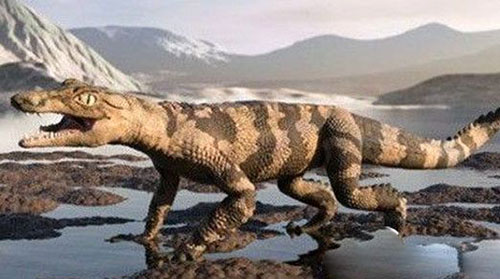 盘点世界五大史前恐怖巨鳄 凶猛猪鳄或以恐龙为食