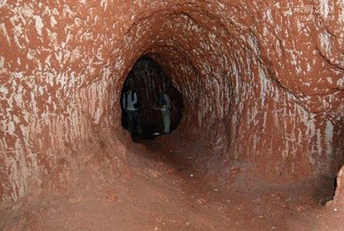 巴西发现上千个神秘怪洞，竟是重6吨树懒挖出来的