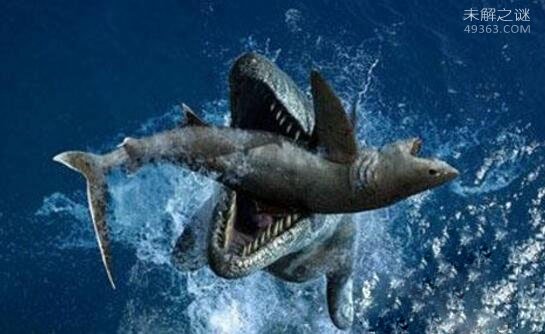 40吨重的巨齿鲨生死谜，找不到足够的食物灭绝(活活饿死)