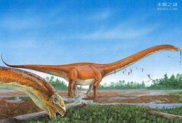 地球史上最大的恐龙，易碎双腔龙(长达50米/重100吨)
