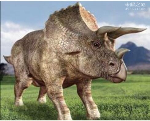 地球史上最大的恐龙，易碎双腔龙(长达50米/重100吨)