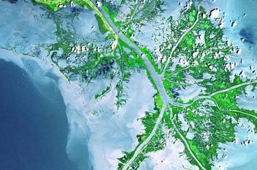 上图是密西西比河三角洲的壮观卫星影像