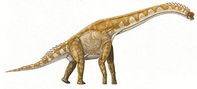 恐龙为何要长到如此巨大:无畏龙体重可达59.3吨