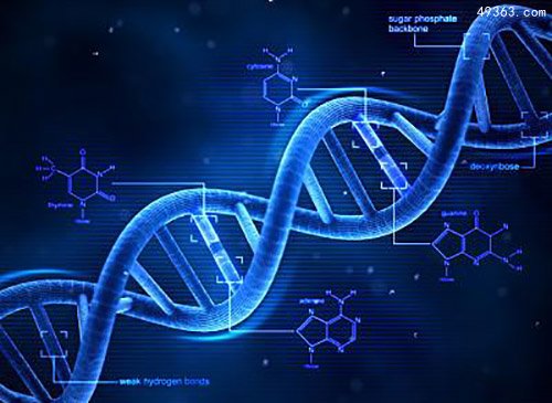 科学技术可确定某个特定的遗传序列源于母亲还是父亲