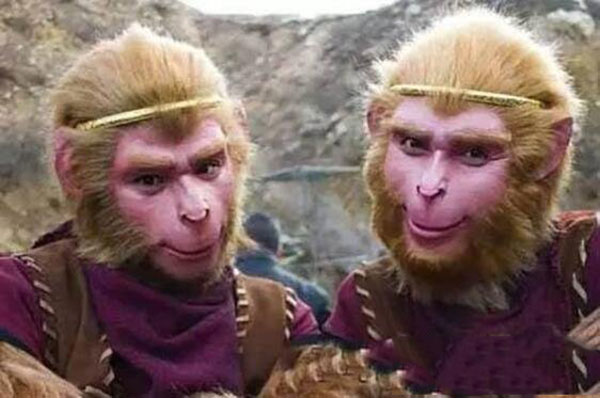 西游记混世四猴，取得真经的是不是通臂猿猴?