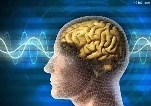 大脑植入器，帮助人类记忆恢复与存储