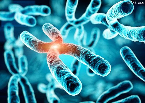 科学家发现神秘染色素物质 人类寿命上限或为150岁