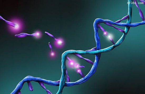 以色列科学家发现长寿基因 能延长寿命20年 