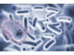 科学家发现存活达12万年的超长寿细菌