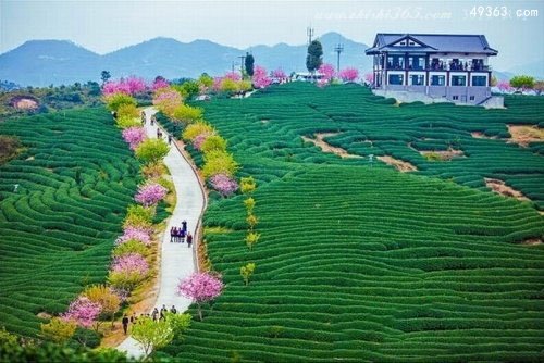 中国最美的十大长寿村排行榜 中国最有名的长寿村在哪里