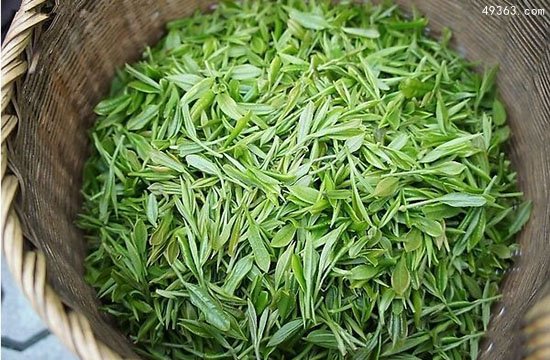 中国十大名茶之一：西湖龙井