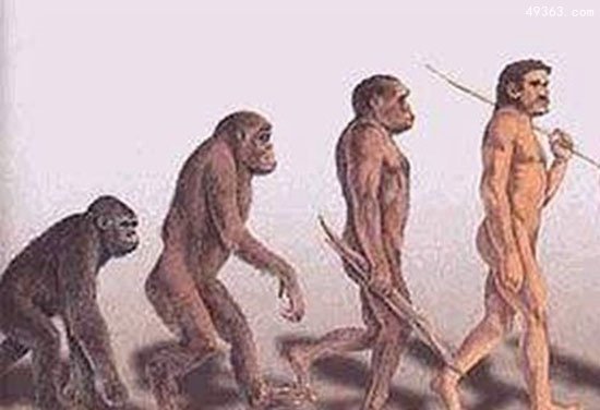 有关进化论之争的六个焦点，达尔文晚年推翻进化论