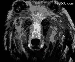 近代已灭绝动物8：墨西哥灰熊